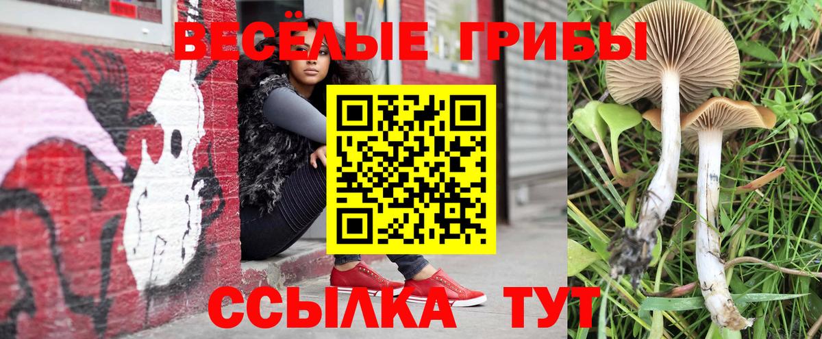 Галлюциногенные грибы Cubensis  Вход с VPN  купить наркотики сайты  Симферополь  Псилоцибиновые грибы MAGIC MUSHROOMS 